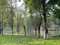 -沐仙湖湿地公园