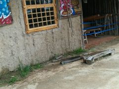 -北纬44度·金珠花海休闲农业旅游景区