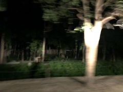 -清迈夜间动物园