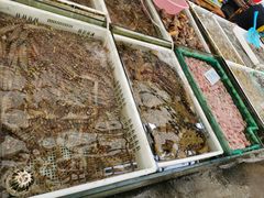 -毕家疃综合市场