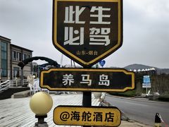-养马岛旅游度假区