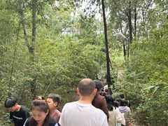-云龙山