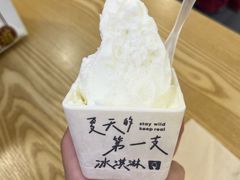 -野人先生Gelato(上海长宁龙之梦店)