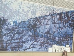 -baby bella小贝拉母婴护理中心(北京东隅店)