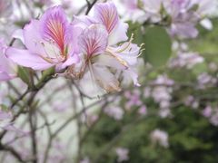 -柳侯公园