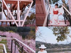 -福建鲤鱼洲酒店