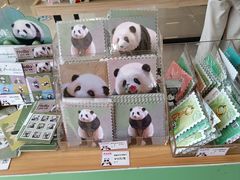 -熊猫邮局(少城店)