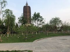 -西海子公园