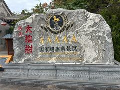 -大槐树寻根祭祖园