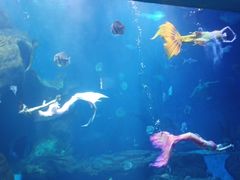 -多彩贵州城极地海洋世界