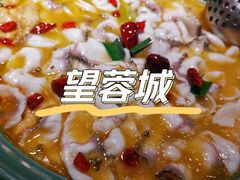 -望蓉城·古法酸菜鱼(世纪汇店)