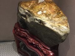 -浩运·海鲜青岛菜·海胆水饺(石老人店)