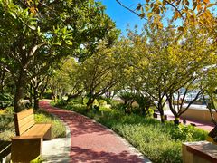 -北外滩滨江绿地