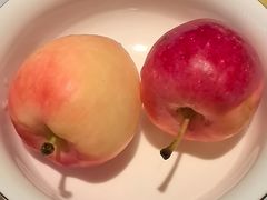 -狮拾久·现代新加坡料理(壹方城店)