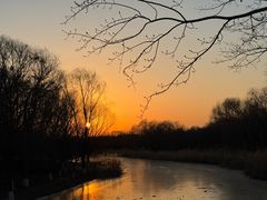 -大兴滨河森林公园