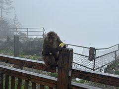 -峨眉山风景名胜区