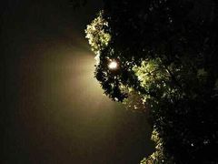 -西岭雪山大飞水景区