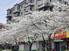 -永乐路-路侧停车场