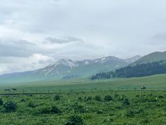 -新疆那拉提国家旅游度假区