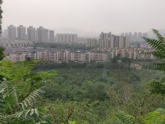 -府君山公园