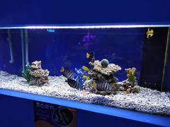 -沙沙哗啦海洋馆(华宇百花谷店)