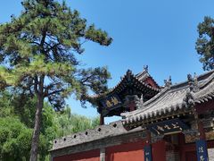 -晋祠博物馆