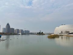 -金沙湖公园
