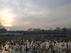 -长春市南湖公园