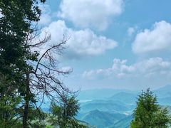 -莫干山风景区