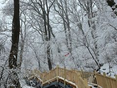 -终南山南五台景区