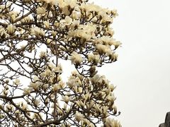 -北京石刻艺术博物馆(五塔寺)