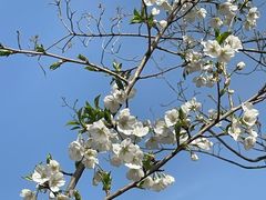 -山东省千佛山医院