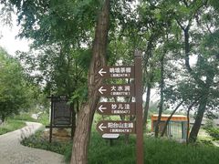 -阳台山自然风景区