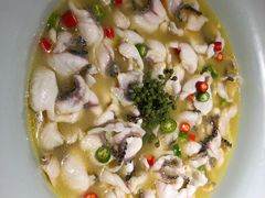 -青花椒花椒鱼(合生汇店)