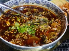 -青城甲(青城山店)