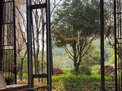 -南宁荔园维景国际酒店·荔园中餐厅