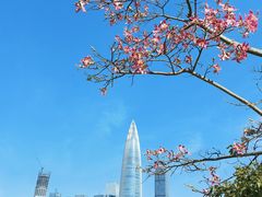 -深圳人才公园