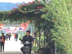 -玉龙寨旅游景区