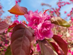 -元大都城垣遗址公园