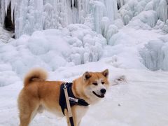 -灵溪风景区
