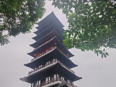 -宜兴龙背山森林公园