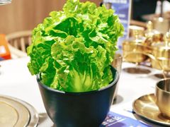生菜-金会长自助海鲜·烤肉(人民广场店)
