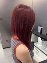 -东方麒麟·潘多拉SALON