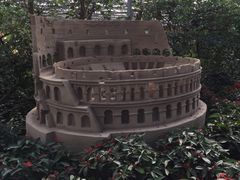 -南宫五洲植物乐园