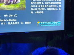 -蓬莱欧乐堡海洋极地世界
