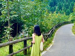 -武陵山森林公园