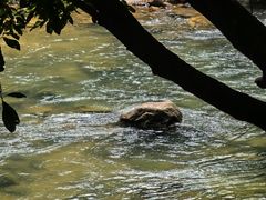 -广州白江湖森林公园