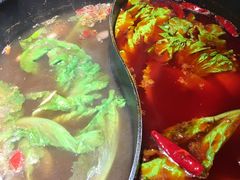 -销魂美蛙鱼头火锅(上海首店)