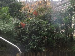 -达蓬山温泉