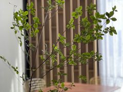 -北京三里屯CHAO酒店